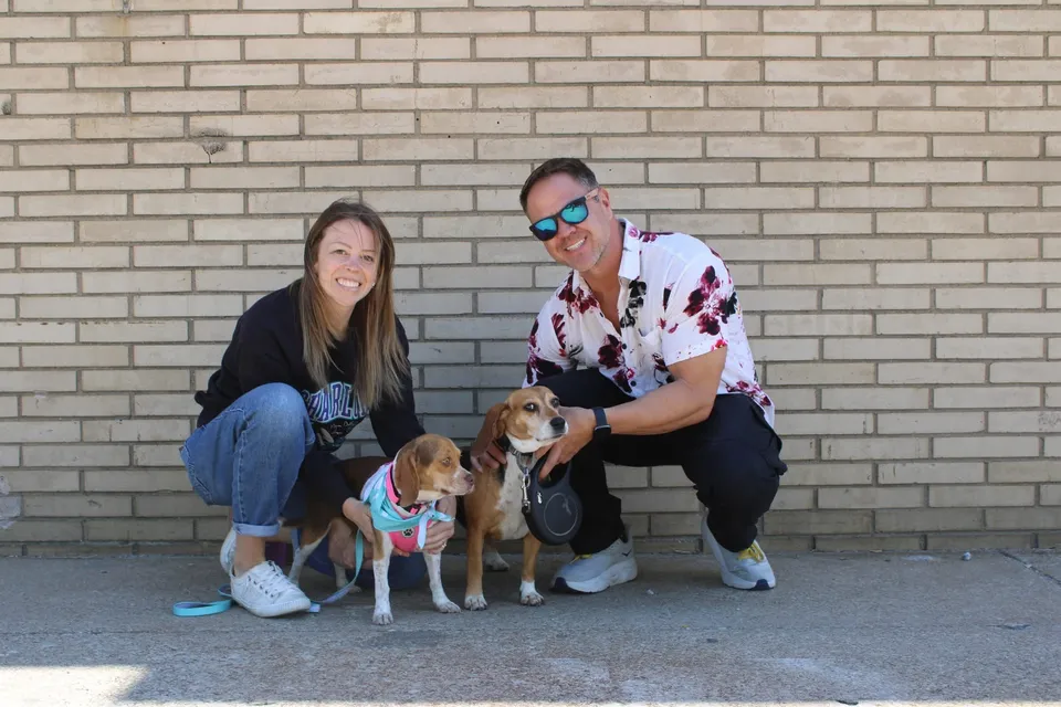 Mark and Megan Holshouser with their rescue beagles, Lily and Ellie.